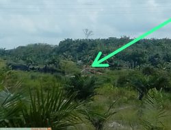 Pulau Komang Kian Terang, Publik Desak Aparat Jangan Diam