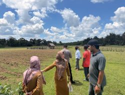 Dukung Program Ketahanan Pangan, Polsek Cerenti Tinjau Kesiapan Lahan 6 Hektar di Desa Pulau Bayur