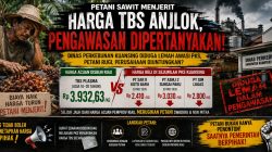 PETANI SAWIT MENJERIT, HARGA TBS “TERJUN” DINAS PERKEBUNAN KUANSING DIDUGA LEMAH DALAM PENGAWASAN HARGA TBS