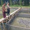 Polsek Singingi di wakili Babinkantimas Lakukan Pengecekan Program Perkarangan Bergizi di Desa Sumber Datar
