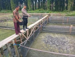 Polsek Singingi di wakili Babinkantimas Lakukan Pengecekan Program Perkarangan Bergizi di Desa Sumber Datar