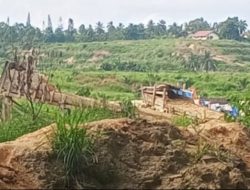 Diduga Biarkan Aktivitas PETI di Area Perkebunan, Humas PT TKBM Bungkam