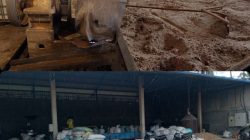 ‎Kisruh Pabrik Kopra di Balubuih Memanas, Warga Desak DLH Bertindak Tegas: Diduga Beroperasi Sebelum Lengkapi Perizinan
