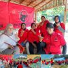 Panen Raya Guguak VIII Koto Bersatu Jadi Bukti Nyata Kekuatan Petani, DPRD Lima Puluh Kota Siap Dukung Program Ketahanan Pangan Rakyat